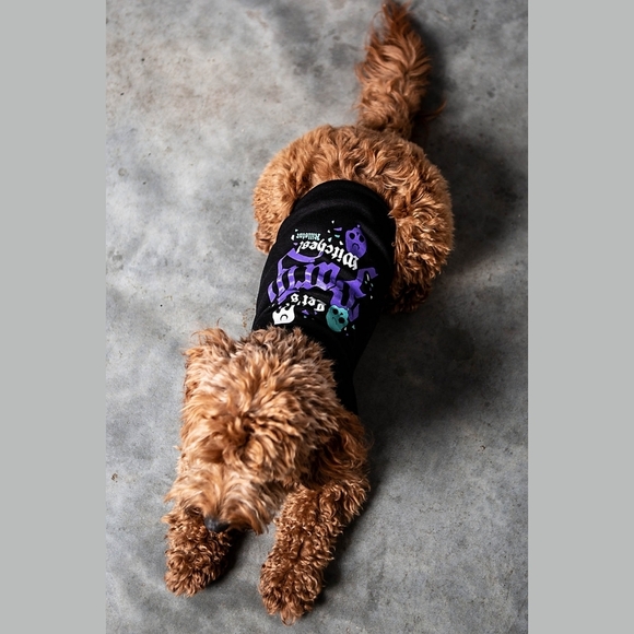 Killstar “Let’s Party Witches” Pet Hoodie–Black Jersey Cotton w/ Purple Graphic - Picture 3 of 12